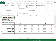 Summary Statstics Output